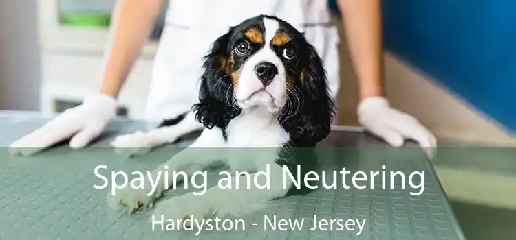 Spaying and Neutering Hardyston - New Jersey