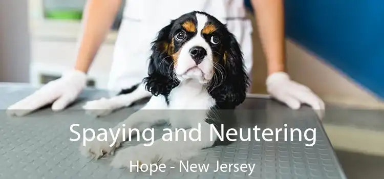 Spaying and Neutering Hope - New Jersey