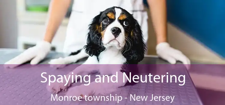 Spaying and Neutering Monroe township - New Jersey