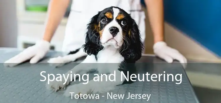 Spaying and Neutering Totowa - New Jersey