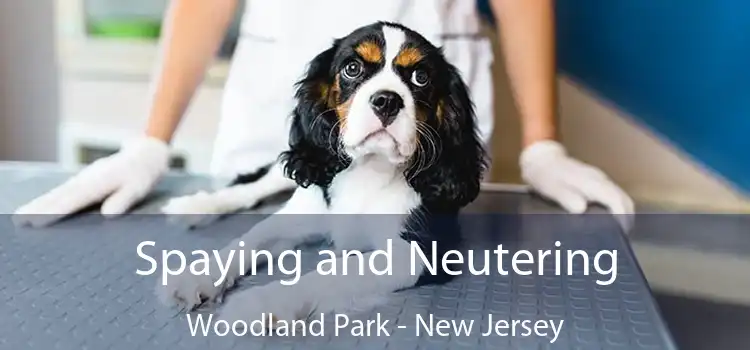 Spaying and Neutering Woodland Park - New Jersey