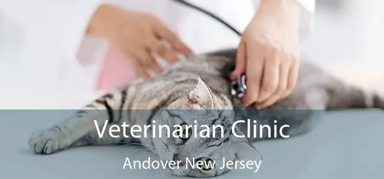 Veterinarian Clinic Andover New Jersey