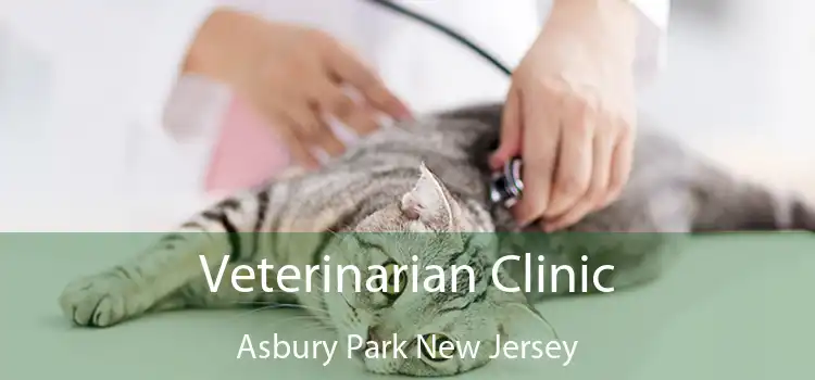 Veterinarian Clinic Asbury Park New Jersey