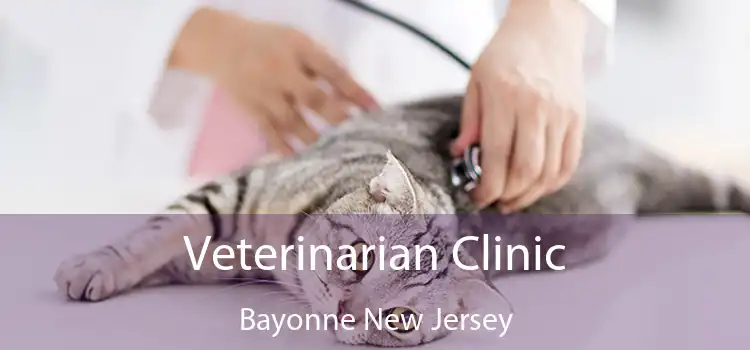 Veterinarian Clinic Bayonne New Jersey