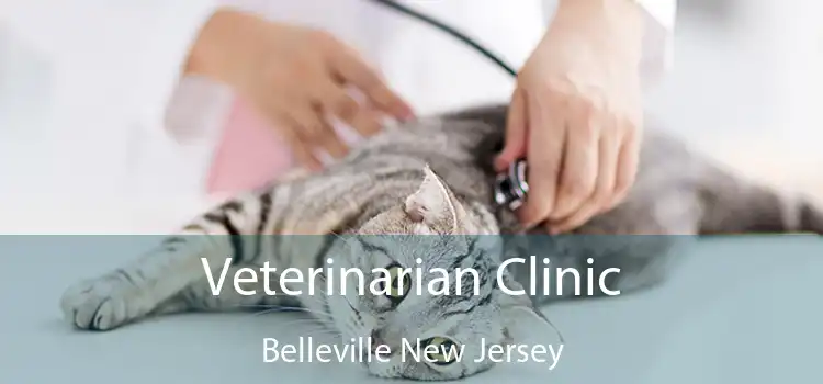 Veterinarian Clinic Belleville New Jersey