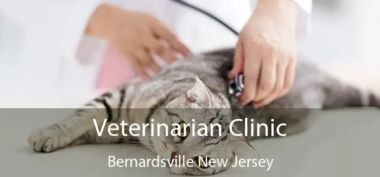 Veterinarian Clinic Bernardsville New Jersey