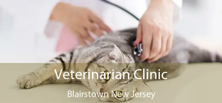 Veterinarian Clinic Blairstown New Jersey