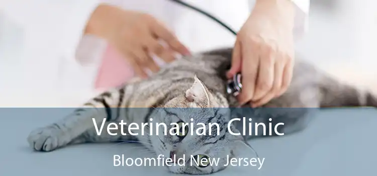 Veterinarian Clinic Bloomfield New Jersey