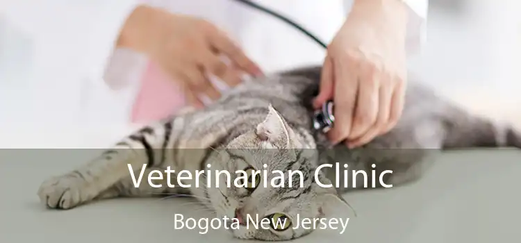 Veterinarian Clinic Bogota New Jersey