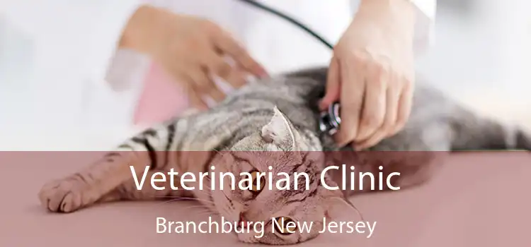 Veterinarian Clinic Branchburg New Jersey