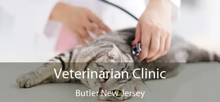 Veterinarian Clinic Butler New Jersey