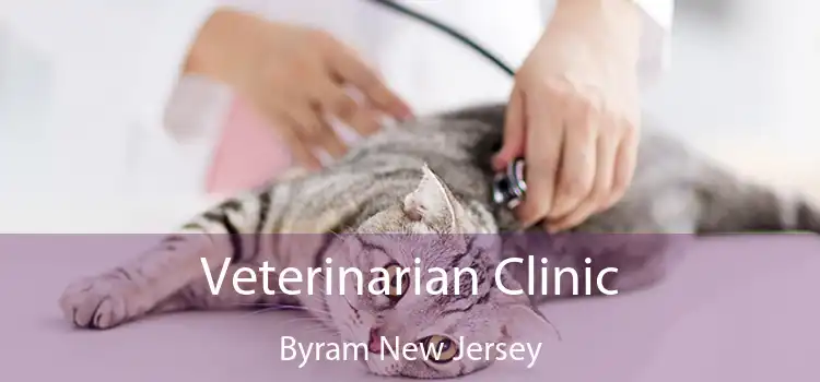 Veterinarian Clinic Byram New Jersey