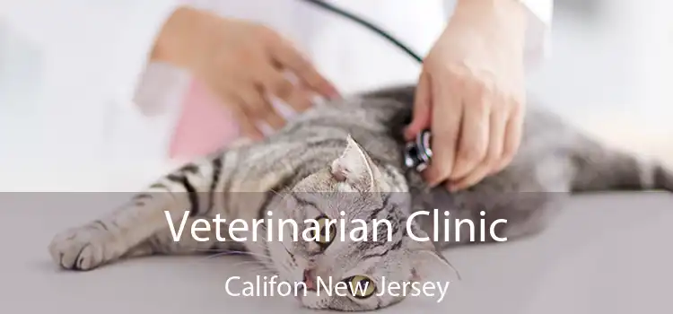 Veterinarian Clinic Califon New Jersey