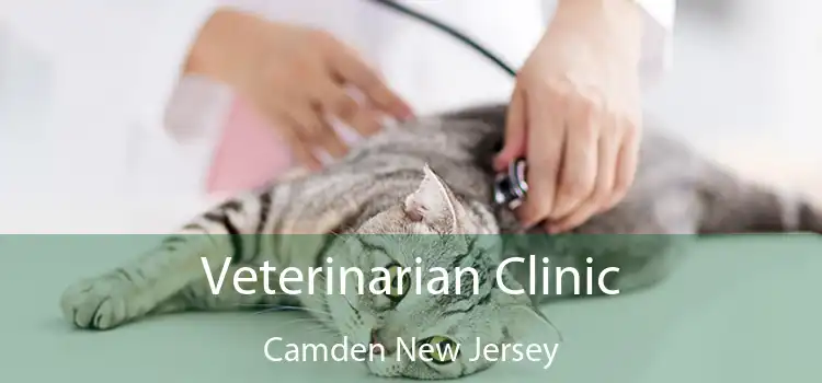 Veterinarian Clinic Camden New Jersey