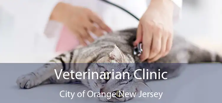 Veterinarian Clinic City of Orange New Jersey