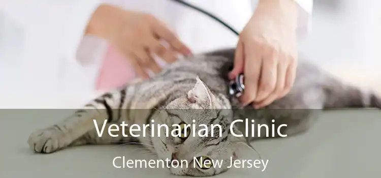 Veterinarian Clinic Clementon New Jersey