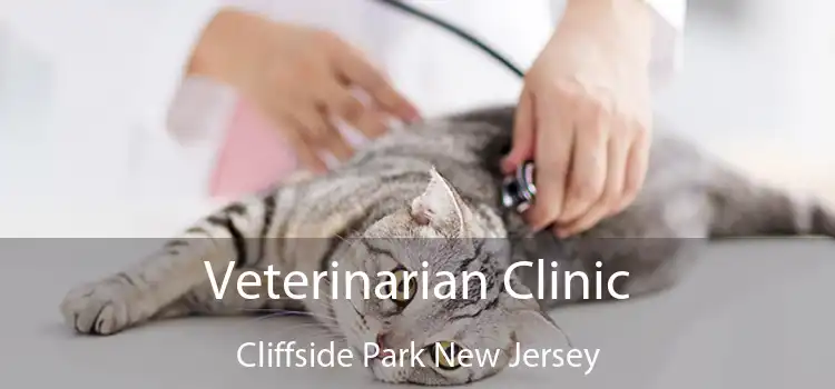 Veterinarian Clinic Cliffside Park New Jersey