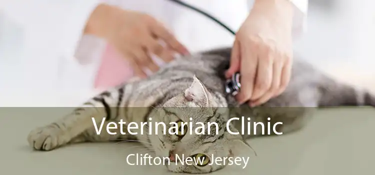 Veterinarian Clinic Clifton New Jersey