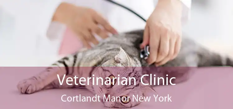 Veterinarian Clinic Cortlandt Manor New York