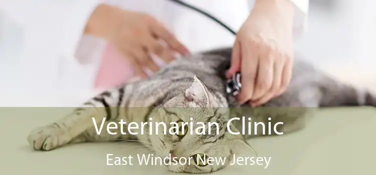 Veterinarian Clinic East Windsor New Jersey