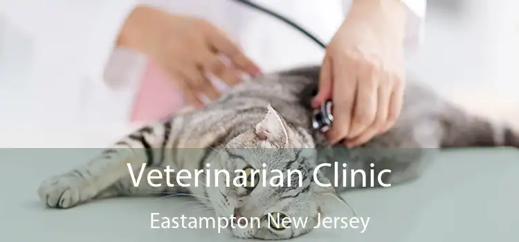 Veterinarian Clinic Eastampton New Jersey