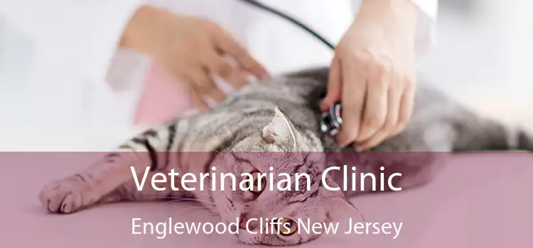 Veterinarian Clinic Englewood Cliffs New Jersey