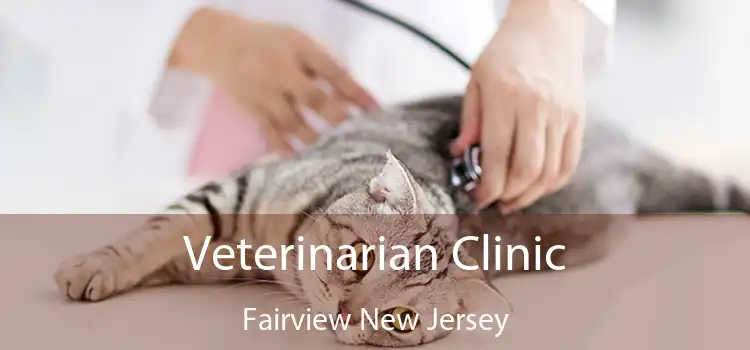 Veterinarian Clinic Fairview New Jersey