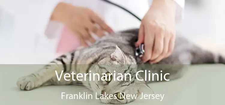 Veterinarian Clinic Franklin Lakes New Jersey