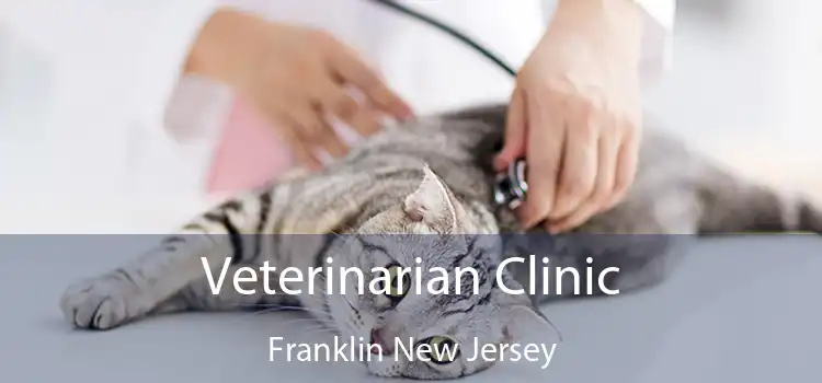 Veterinarian Clinic Franklin New Jersey