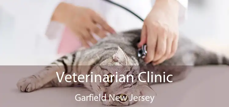 Veterinarian Clinic Garfield New Jersey