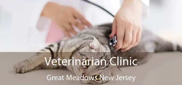 Veterinarian Clinic Great Meadows New Jersey