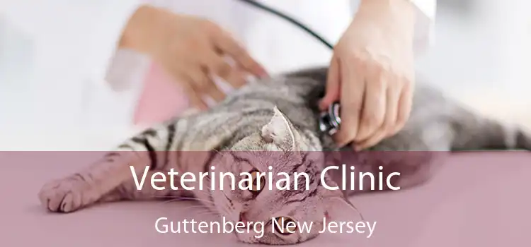 Veterinarian Clinic Guttenberg New Jersey