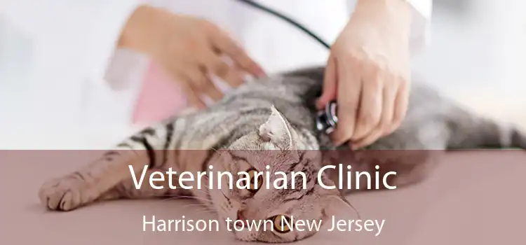 Veterinarian Clinic Harrison town New Jersey