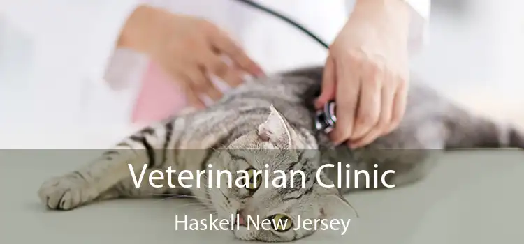 Veterinarian Clinic Haskell New Jersey