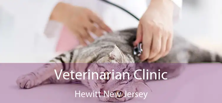 Veterinarian Clinic Hewitt New Jersey