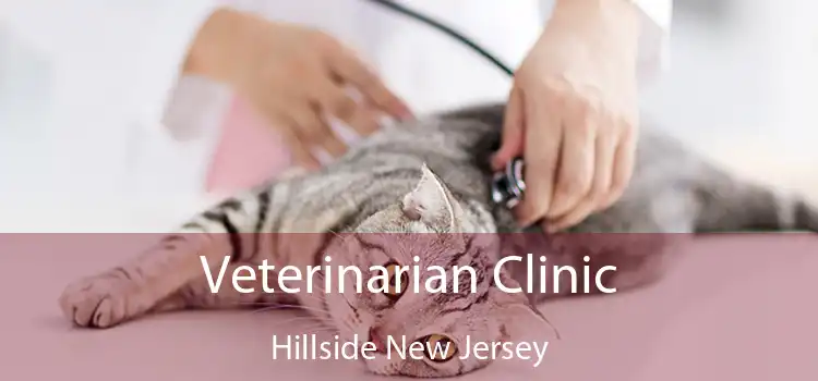 Veterinarian Clinic Hillside New Jersey