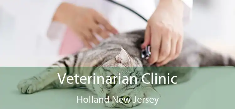 Veterinarian Clinic Holland New Jersey