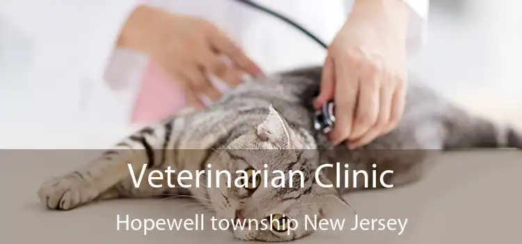 Veterinarian Clinic Hopewell township New Jersey