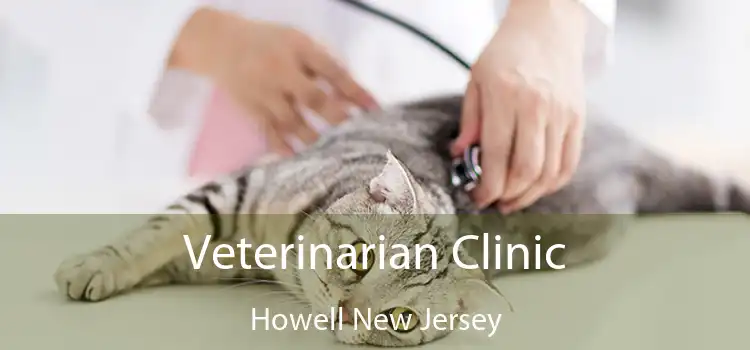 Veterinarian Clinic Howell New Jersey