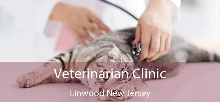 Veterinarian Clinic Linwood New Jersey