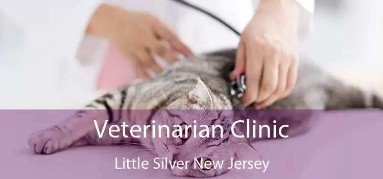 Veterinarian Clinic Little Silver New Jersey