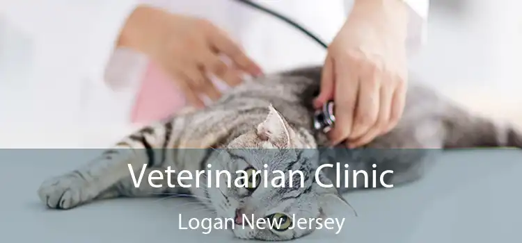 Veterinarian Clinic Logan New Jersey