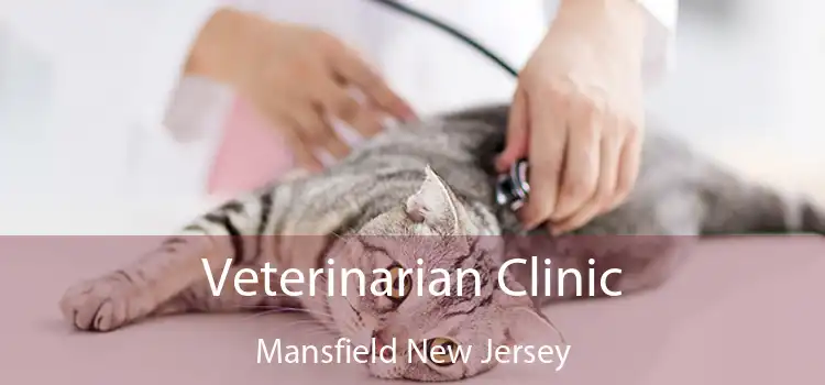 Veterinarian Clinic Mansfield New Jersey