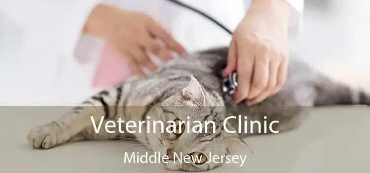 Veterinarian Clinic Middle New Jersey