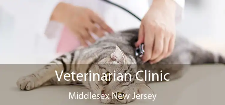 Veterinarian Clinic Middlesex New Jersey