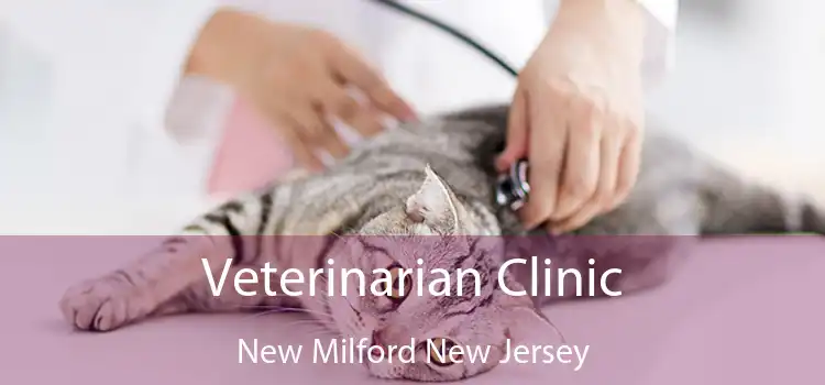 Veterinarian Clinic New Milford New Jersey