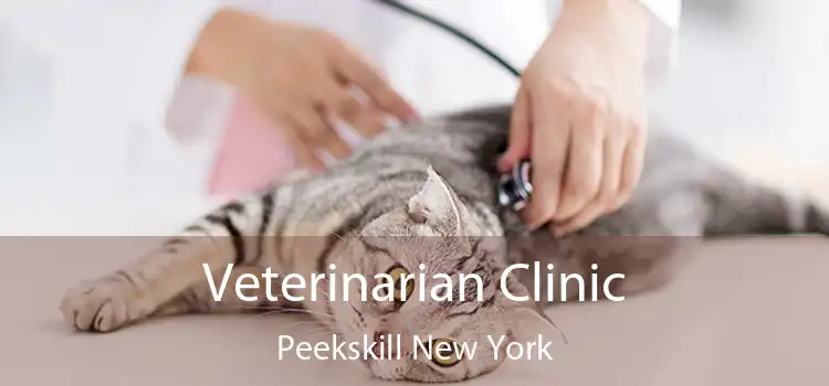 Veterinarian Clinic Peekskill New York