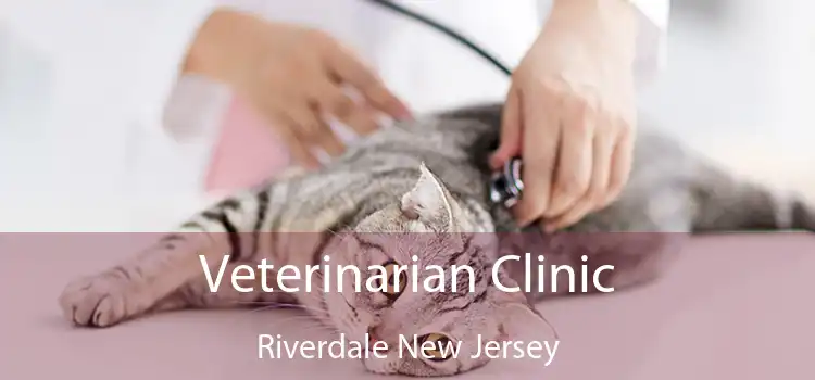 Veterinarian Clinic Riverdale New Jersey