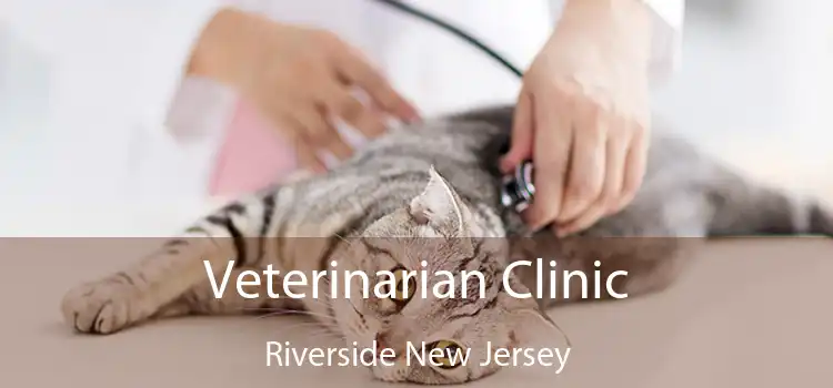 Veterinarian Clinic Riverside New Jersey