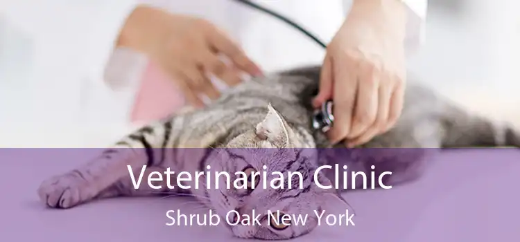 Veterinarian Clinic Shrub Oak New York